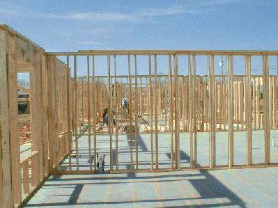 Meanwhile, framing begins for a second building. 2/1/99