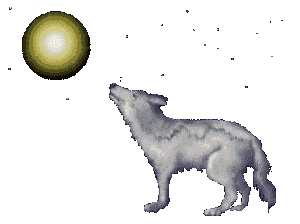 Wolf Howls at Moon